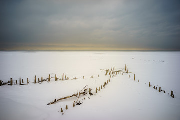 D, Bodensee, Winter im Eriskircher Ried
