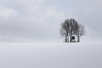 winter snow landscape nature