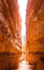 View between rocky mountains at Utah USA