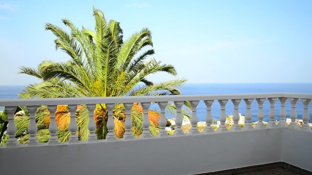 Dachterasse mit Blick zum Atlantik und Dattelpalme 
