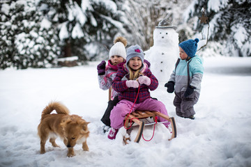 Fototapeta na wymiar toben mit dem Hund im Schnee