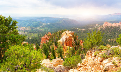 Pine trees on rocky mountains at  Bryce Canyon