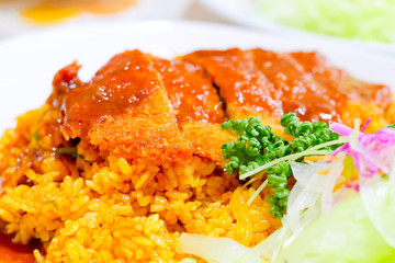 rice Chicken Curry close up