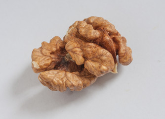 Walnut