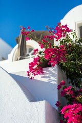 Santorini, Grecja, Oia - Luksusowy Resort z basenami i widokiem na morze - obrazy, fototapety, plakaty