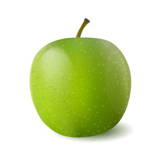 Vector photo-realistic green juicy apple. 3d design object