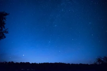 Poster Mooie blauwe nachtelijke hemel met veel sterren © Pavlo Vakhrushev