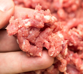 minced meat in his hand. macro