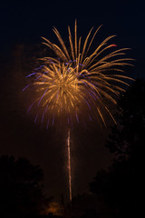 Fireworks Celebration