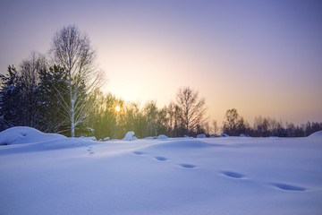 winter landscape with snow field, forest and animal’s  footste