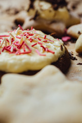 Colorful cookie with chocolate on the top. Vertical studio shot.
