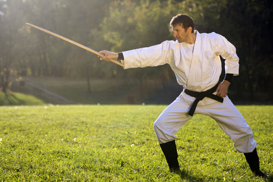 In Kimono With Wooden Sword