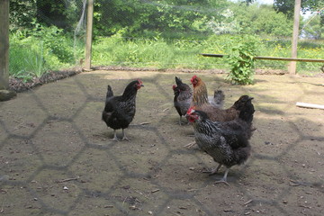 England, Oxfordshire