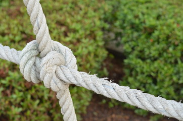 Rope knot line tied together with nature background,as a symbol for trust, teamwork or collaboration.