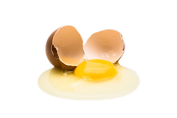 egg