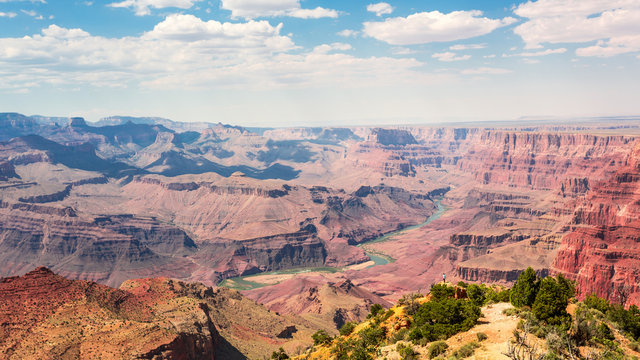 Grand Canyon National Park wild nature