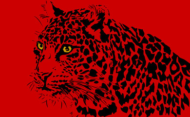 Leopard, Big Cat Illustration from India on Red Background