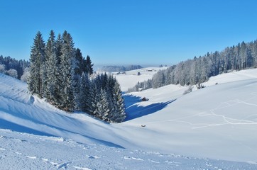 Winterlandschaft