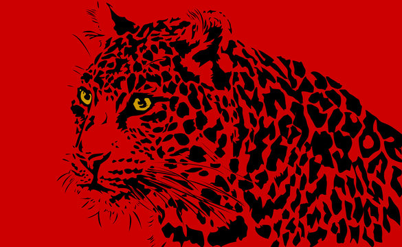 Leopard, Big Cat Illustration from India on Red Background