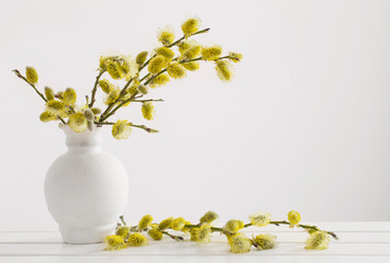 Branches of the pussy willow with flowering bud in vase with wat © Maya Kruchancova