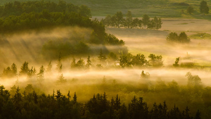 Obraz na płótnie Canvas Misty meadows