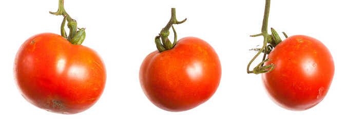 Ripe red tomatoes on a branch on a white background. Set