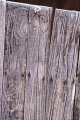 hoarfrost on planks of old wooden fence