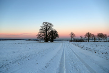 Winter landscape with fields and meadows  / Sunset in the winter