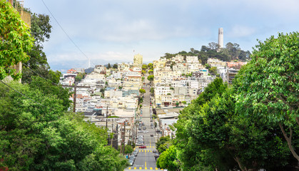 Fototapeta na wymiar Road with trees and buildings at San Francisco