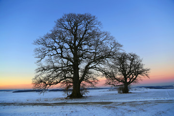 Fototapeta na wymiar Winter landscape with fields and meadows / Sunset in the winter