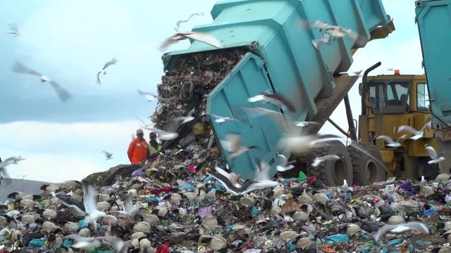 trucks on a landfill site