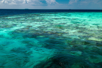 Transparent azure water with coral reef, nature landscape
