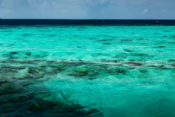 Fototapeta na wymiar Transparent azure water with coral reef, nature landscape