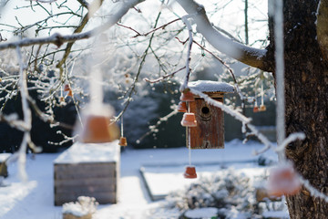 D, Bayern, Augsburg, Winter im Botanischen Garten, Bauerngarten mit Insektenunterschlupf am Obstbaum