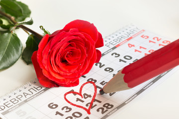 Valentine's card. Red roses lay on the calendar and red pencil point date of February 14, Valentine's day. Close up.