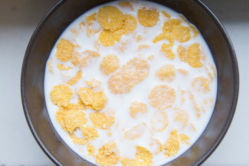 Bowl with Cornflakes and Milk. Healthy Breakfast.
