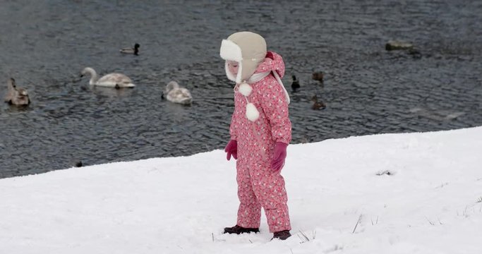 3 Year Old Girl Feeding Wild Birds Ducks and Swans at the Winter River