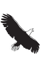 Eagle Flying