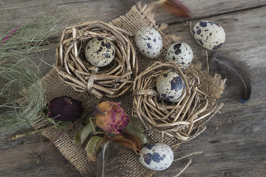 easter composition/two nests with quail eggs and spring flowers on old wooden background