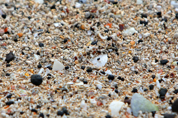 Claigan Coral Beach