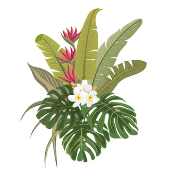 Palm leaves and tropical flowers. Tropical bouquet. Isolated plant on a white background.