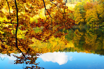 Złota jesień nad jeziorem - obrazy, fototapety, plakaty