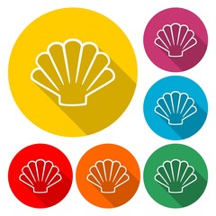 Sea Shell Flat Icon - vector Illustration