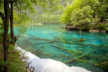 Clear Water Lake