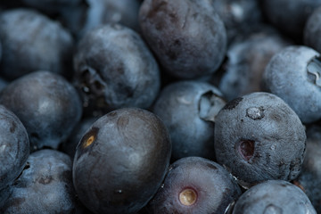 Fresh macro shot of blueberries