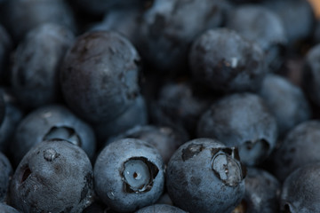 Fresh macro shot of blueberries