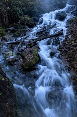 Fototapeta premium Water flowing through the forest over moss covered rocks 