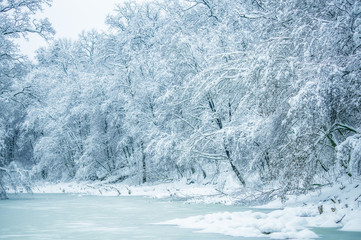 Winter landscape with snow covered trees