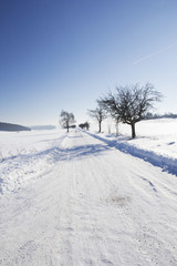 Winter landscape and sunny weather
