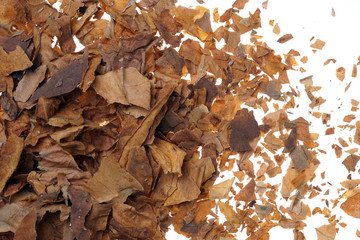 Crushed and dried tobacco leaves as background